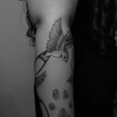 Diseño sin título (85)